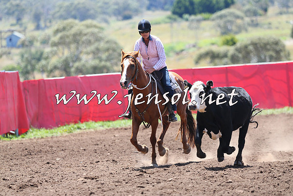 NimmitabelCampdraft2015_2218