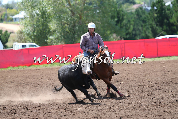 NimmitabelCampdraft2015_2235