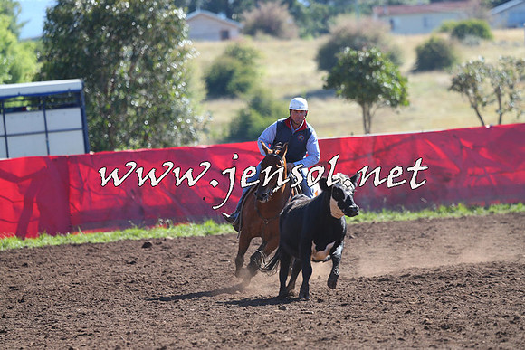 NimmitabelCampdraft2015_2035