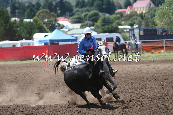 NimmitabelCampdraft2015_2255