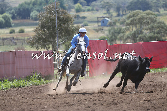 NimmitabelCampdraft2015_2245