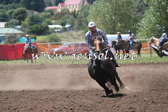 NimmitabelCampdraft2015_2271