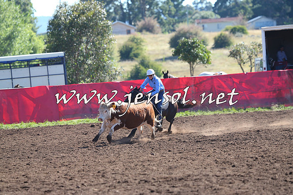 NimmitabelCampdraft2015_2079