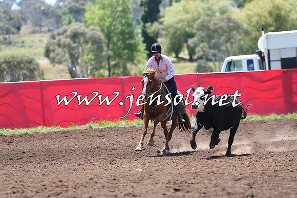NimmitabelCampdraft2015_2211