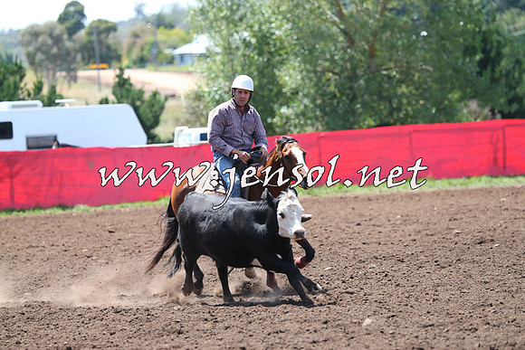 NimmitabelCampdraft2015_2236