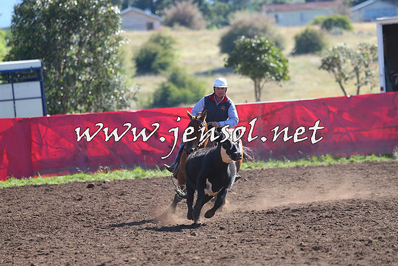 NimmitabelCampdraft2015_2032