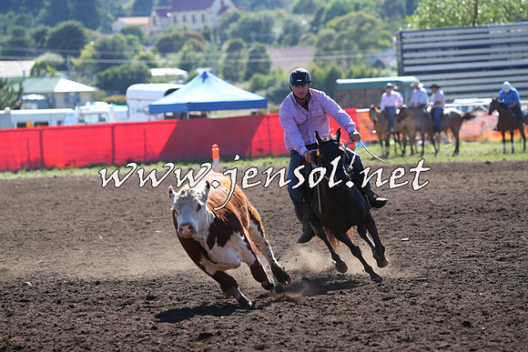 NimmitabelCampdraft2015_2109
