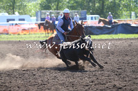 NimmitabelCampdraft2015_2037