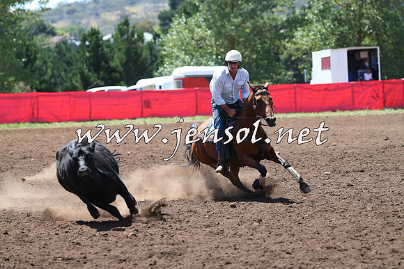 NimmitabelCampdraft2015_2181