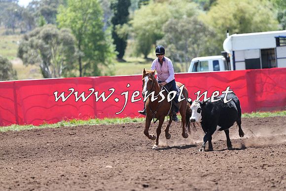 NimmitabelCampdraft2015_2210