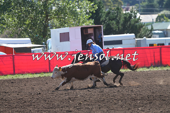 NimmitabelCampdraft2015_2099