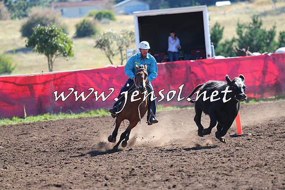 NimmitabelCampdraft2015_2130
