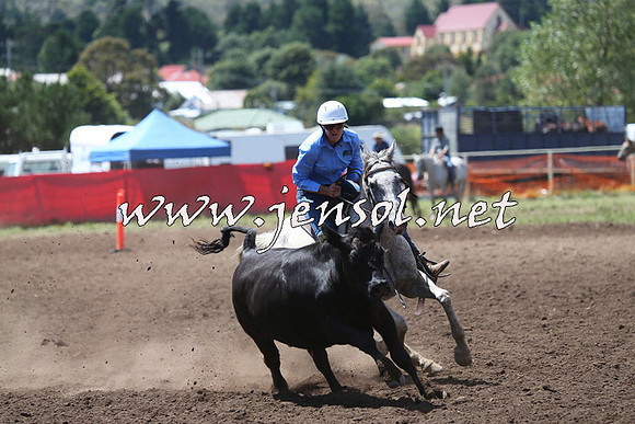 NimmitabelCampdraft2015_2254