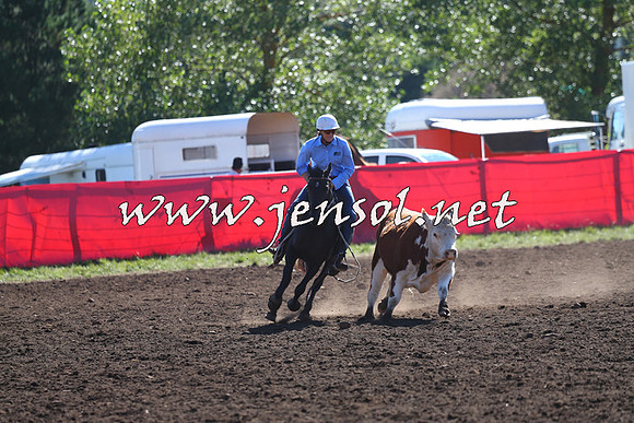 NimmitabelCampdraft2015_2101