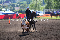 NimmitabelCampdraft2015_2017