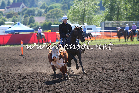NimmitabelCampdraft2015_2017
