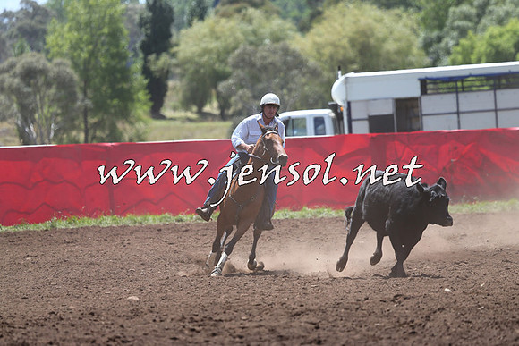 NimmitabelCampdraft2015_2174