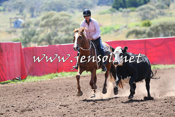 NimmitabelCampdraft2015_2217