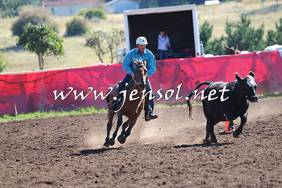 NimmitabelCampdraft2015_2128