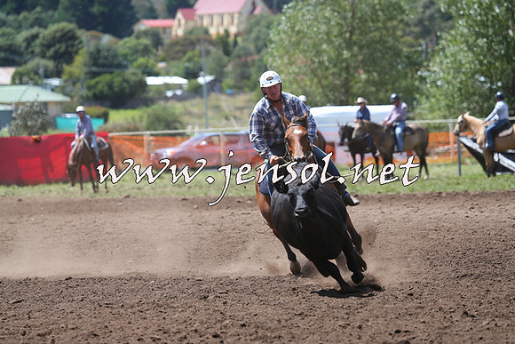 NimmitabelCampdraft2015_2274