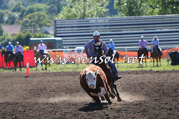 NimmitabelCampdraft2015_2123