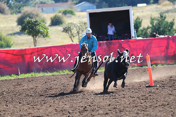 NimmitabelCampdraft2015_2126