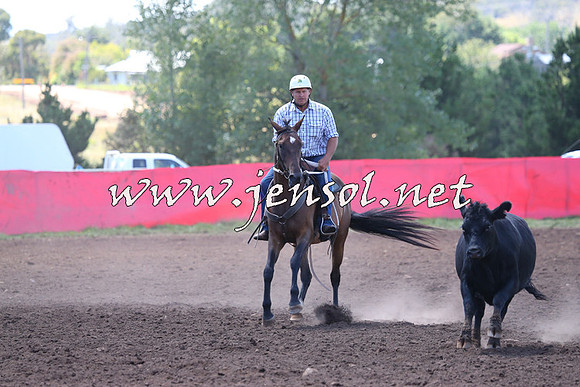 NimmitabelCampdraft2015_2155