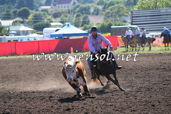 NimmitabelCampdraft2015_2108