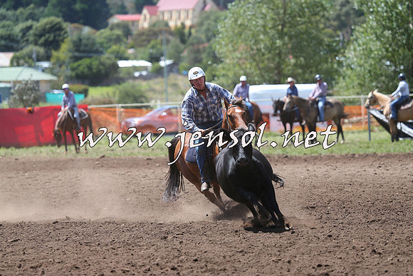 NimmitabelCampdraft2015_2273