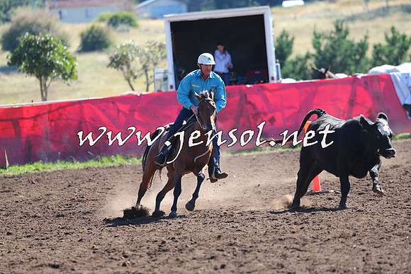 NimmitabelCampdraft2015_2127