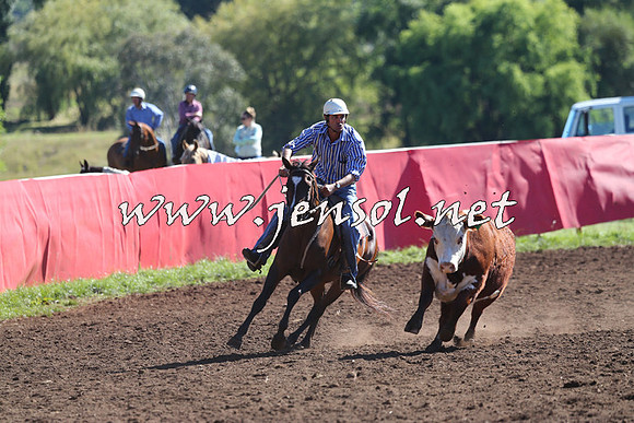 NimmitabelCampdraft2015_2118