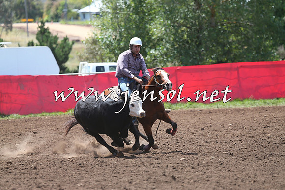 NimmitabelCampdraft2015_2227