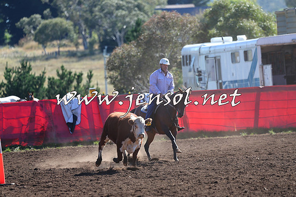 NimmitabelCampdraft2015_2068
