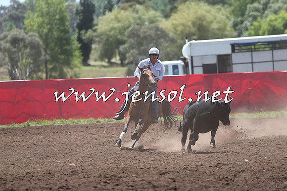 NimmitabelCampdraft2015_2176