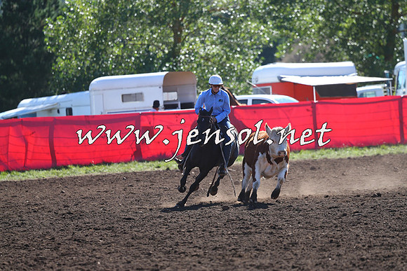 NimmitabelCampdraft2015_2102