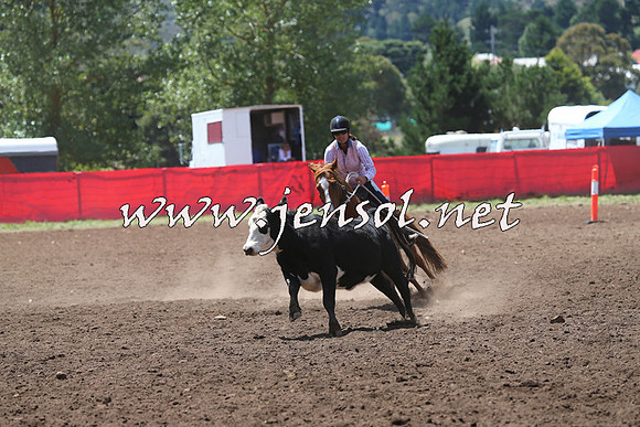 NimmitabelCampdraft2015_2202