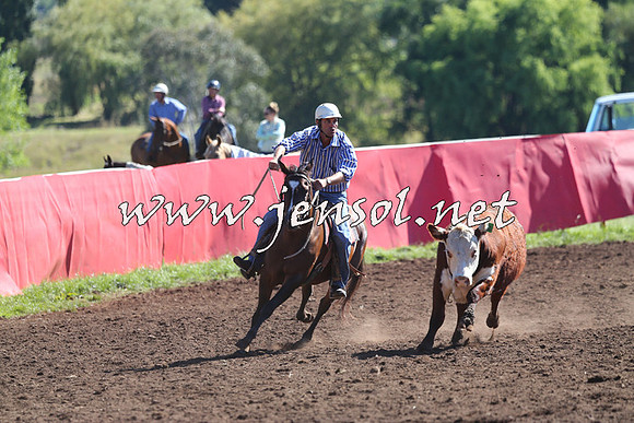 NimmitabelCampdraft2015_2120