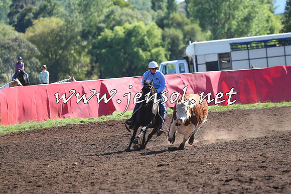 NimmitabelCampdraft2015_2086