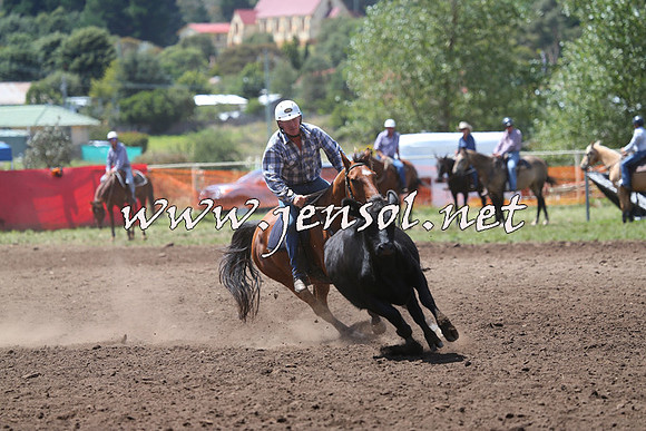 NimmitabelCampdraft2015_2270