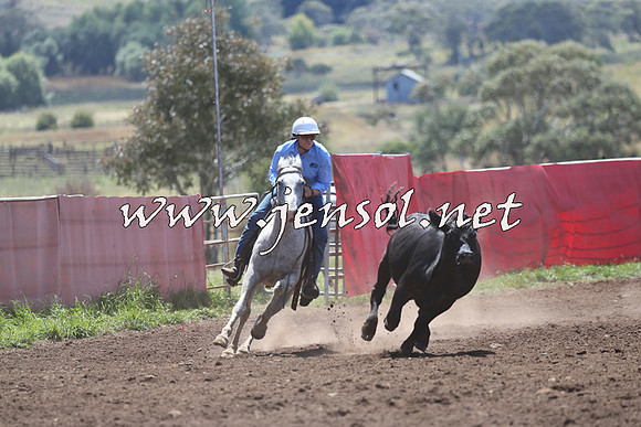NimmitabelCampdraft2015_2242