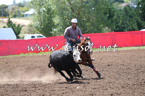 NimmitabelCampdraft2015_2233