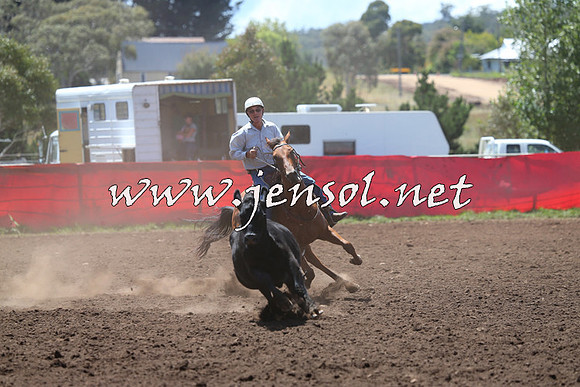 NimmitabelCampdraft2015_2159