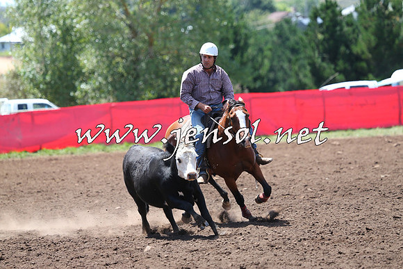 NimmitabelCampdraft2015_2232