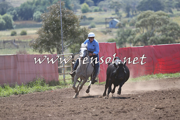 NimmitabelCampdraft2015_2244