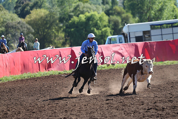 NimmitabelCampdraft2015_2088