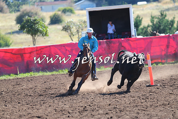 NimmitabelCampdraft2015_2129