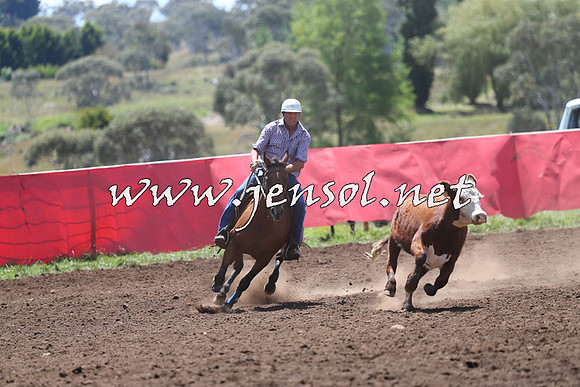 NimmitabelCampdraft2015_2263