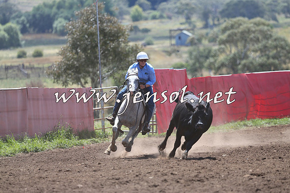 NimmitabelCampdraft2015_2243
