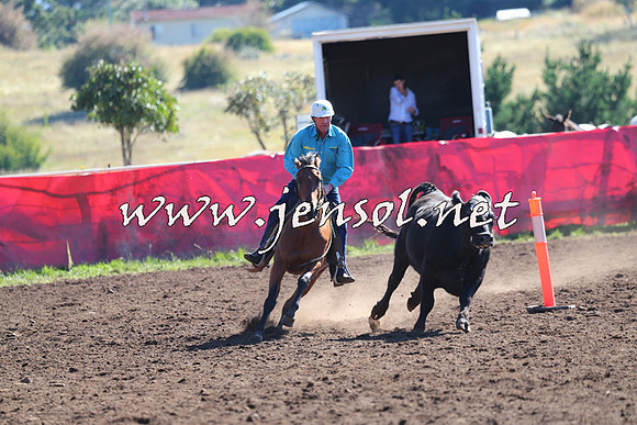 NimmitabelCampdraft2015_2131