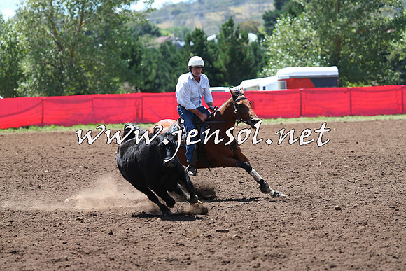 NimmitabelCampdraft2015_2184